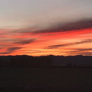 Meet your Posher, Isabelle